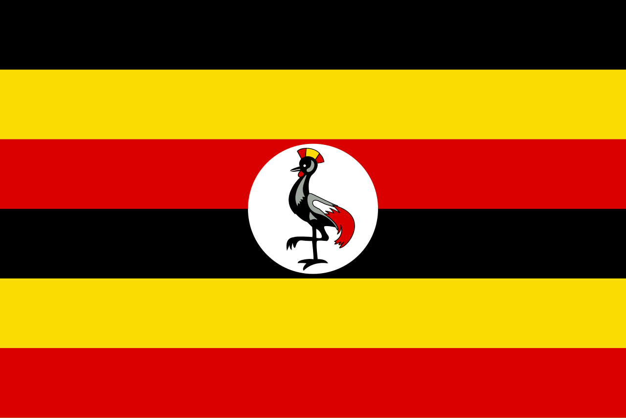 Flag Not Set